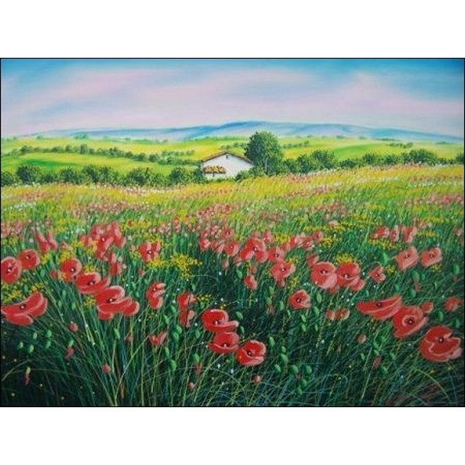 Campo di Papaveri in Abruzzo